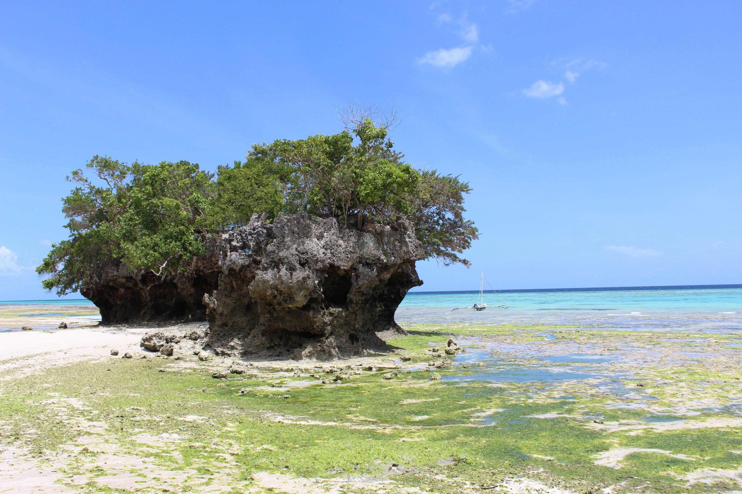 Pemba Island, Tanzania