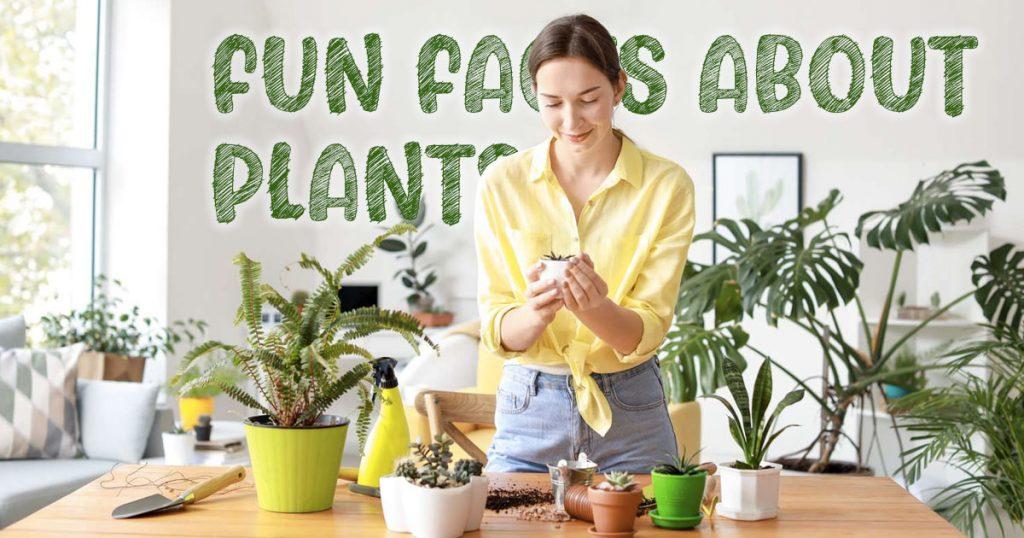 fun-facts-about-plants