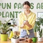 fun-facts-about-plants