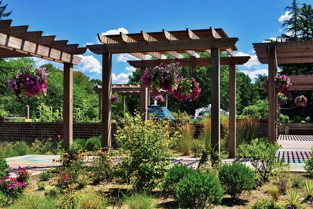 Natural Elegance with Native Gazebo Plants