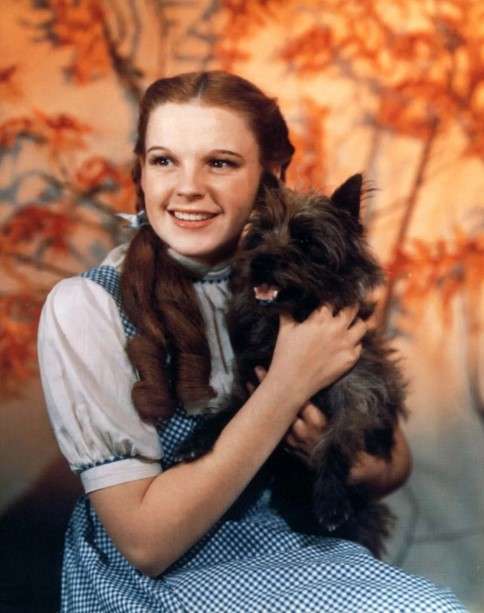 Judy Garland in The Wizard of Oz