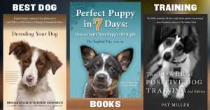 best dog training books