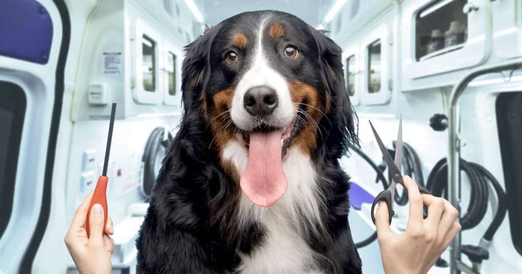 mobile-dog-grooming-business