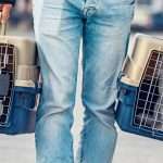 animal transporter