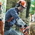 guide to tree felling