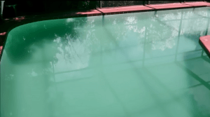 how to clear up cloudy pool water