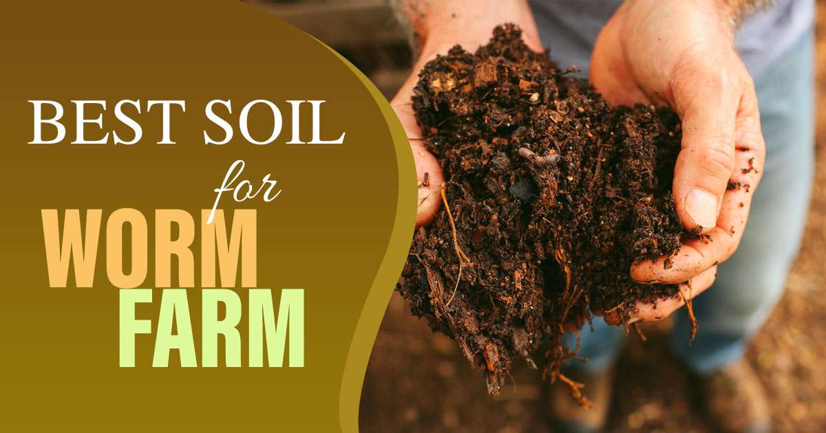 best soil for worm farm