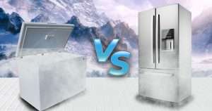 freezer vs refrigerator