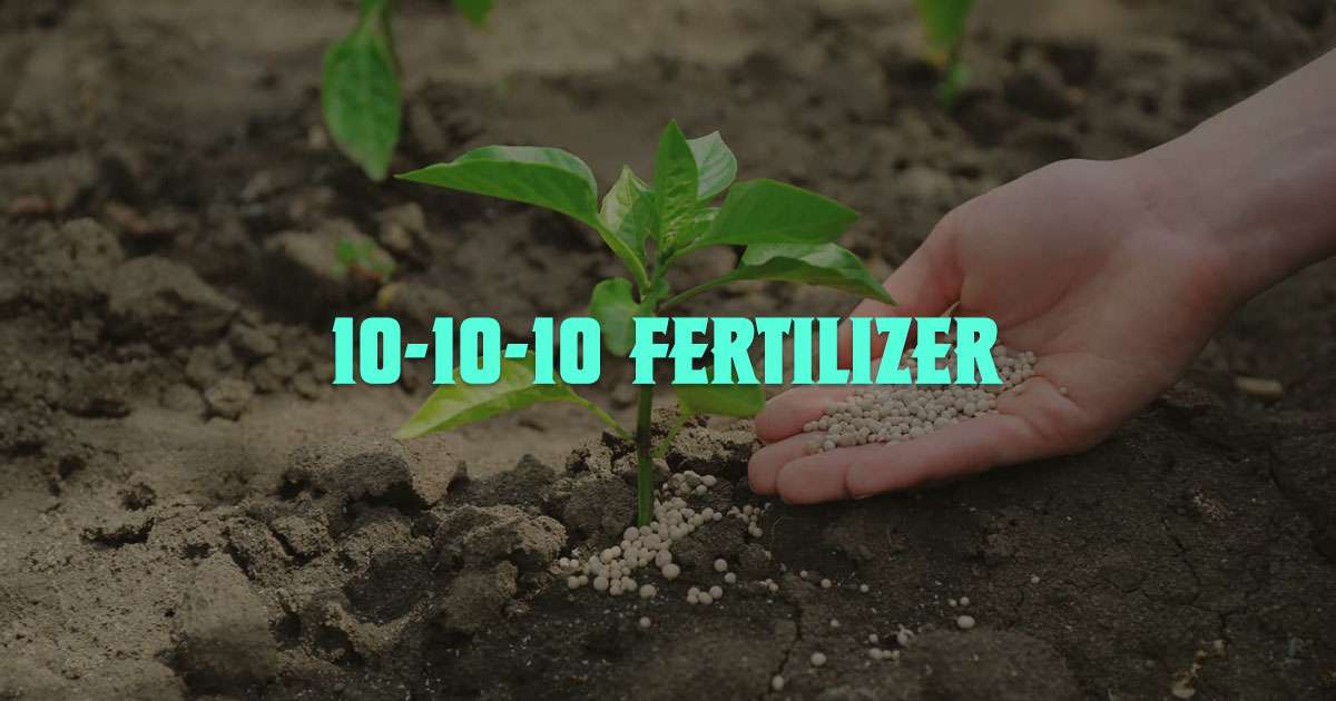 10-10-10 fertilizer