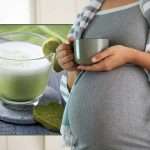 matcha during pregnancy