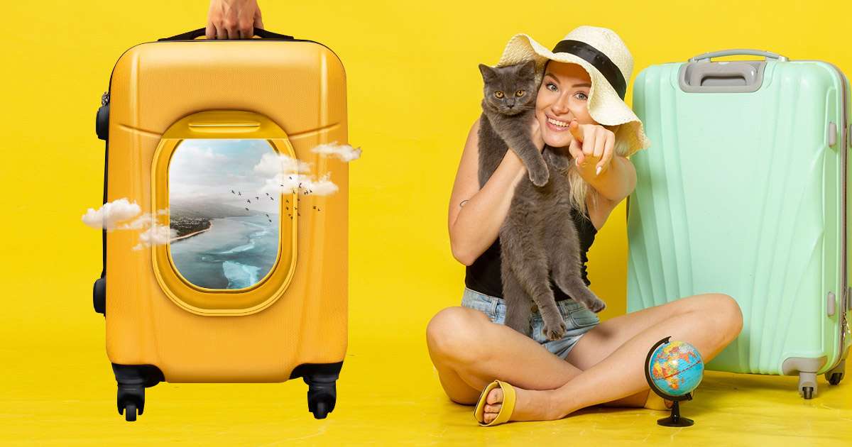 travel with your cat